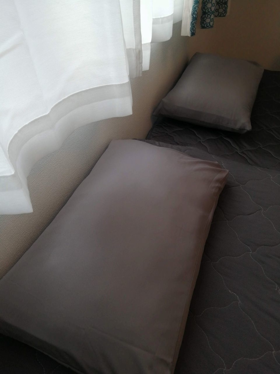 f:id:gaseri:20210613152036j:plain