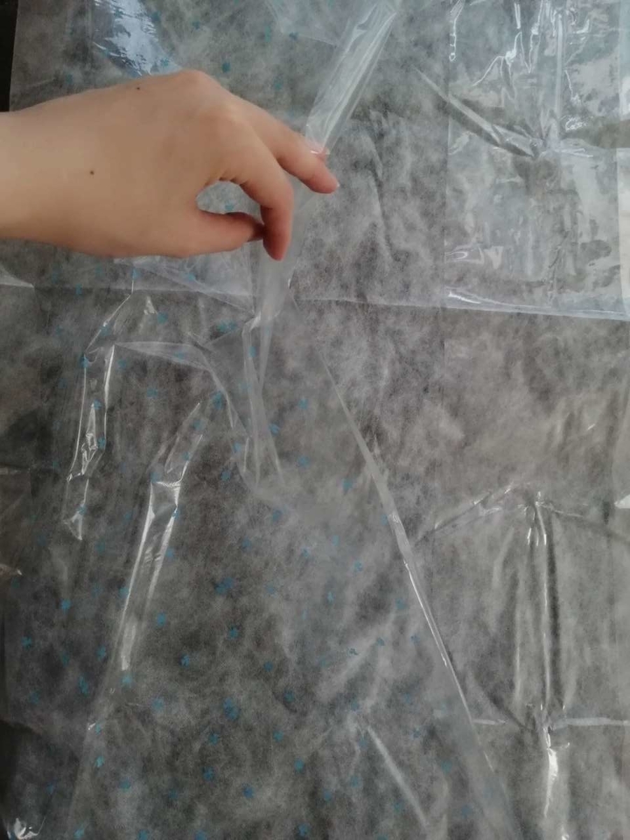f:id:gaseri:20210726150415j:plain