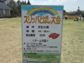 面白い企画？