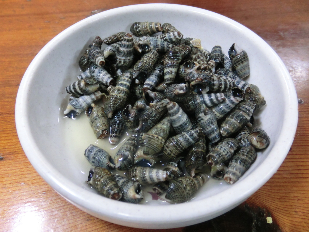 f:id:gashin_shoutan:20170331214130j:plain f:id:gashin_shoutan:20170331214130j:plain