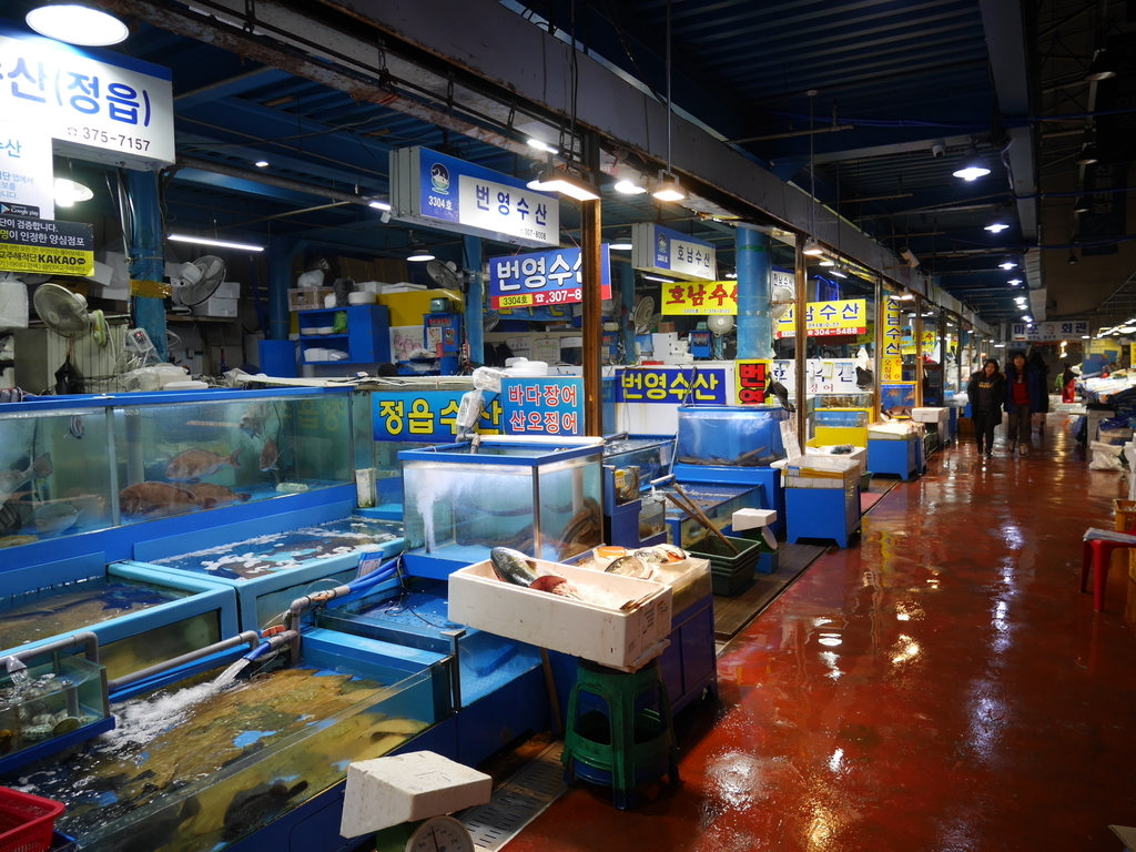 f:id:gashin_shoutan:20180926232551j:plain