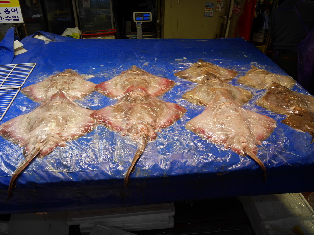 f:id:gashin_shoutan:20180926232616j:plain