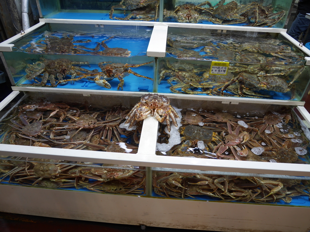 f:id:gashin_shoutan:20180926232625j:plain