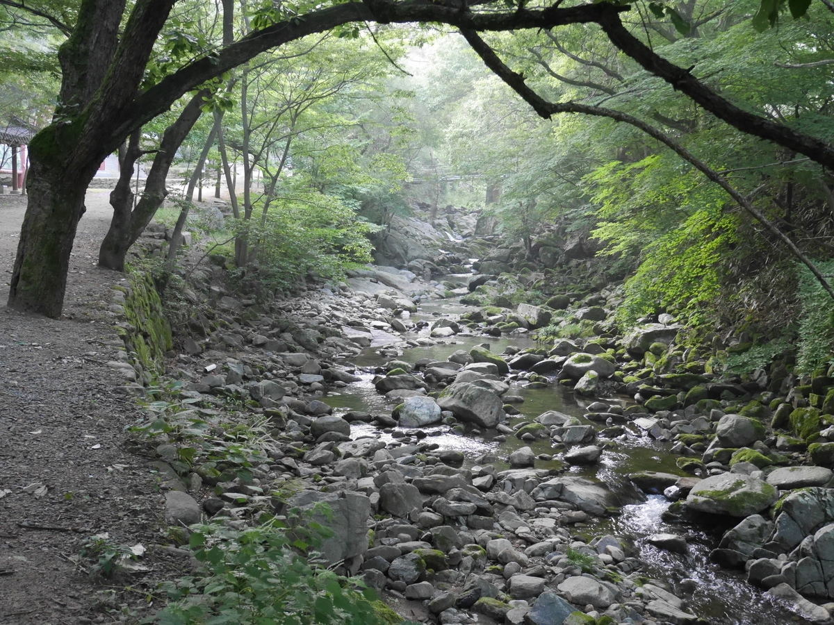 f:id:gashin_shoutan:20190925222910j:plain f:id:gashin_shoutan:20190925222910j:plain
