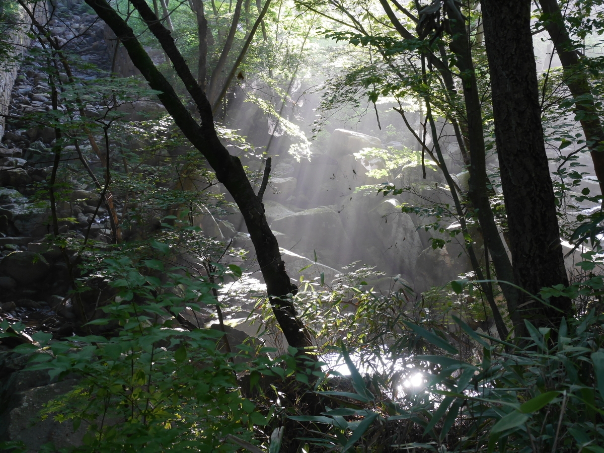 f:id:gashin_shoutan:20190925222958j:plain f:id:gashin_shoutan:20190925222958j:plain