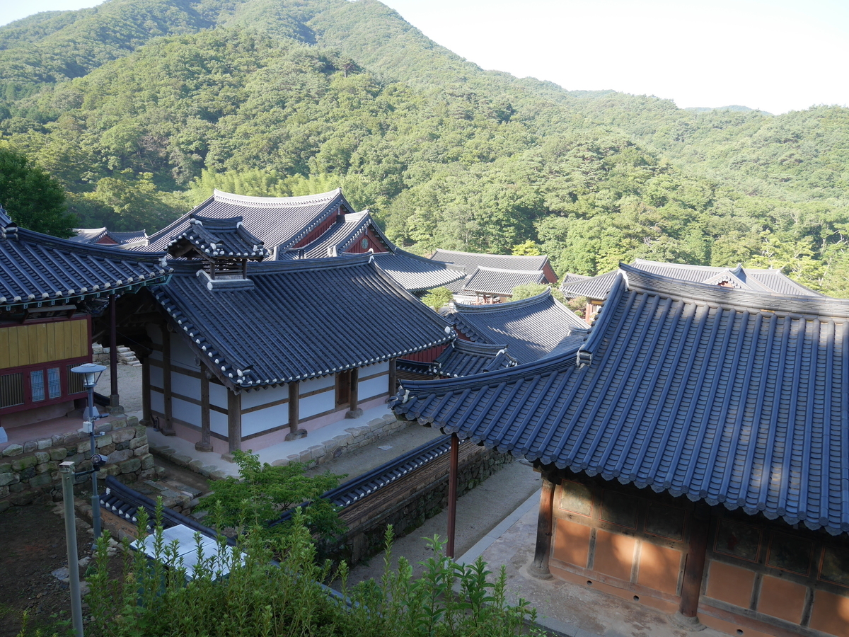 f:id:gashin_shoutan:20190925224610j:plain f:id:gashin_shoutan:20190925224610j:plain