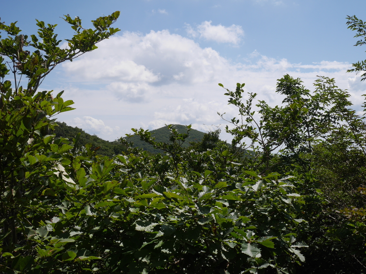 f:id:gashin_shoutan:20190925225652j:plain