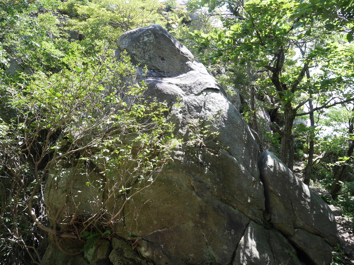f:id:gashin_shoutan:20190925230308j:plain