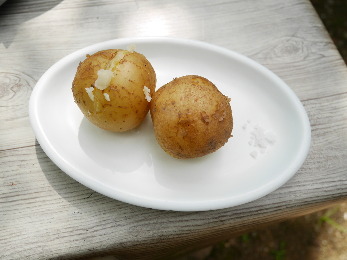 f:id:gashin_shoutan:20190925230738j:plain