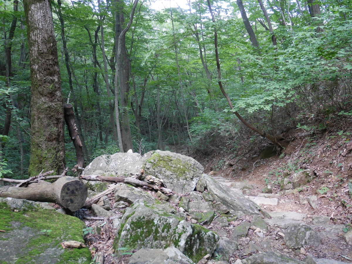 f:id:gashin_shoutan:20190925231025j:plain