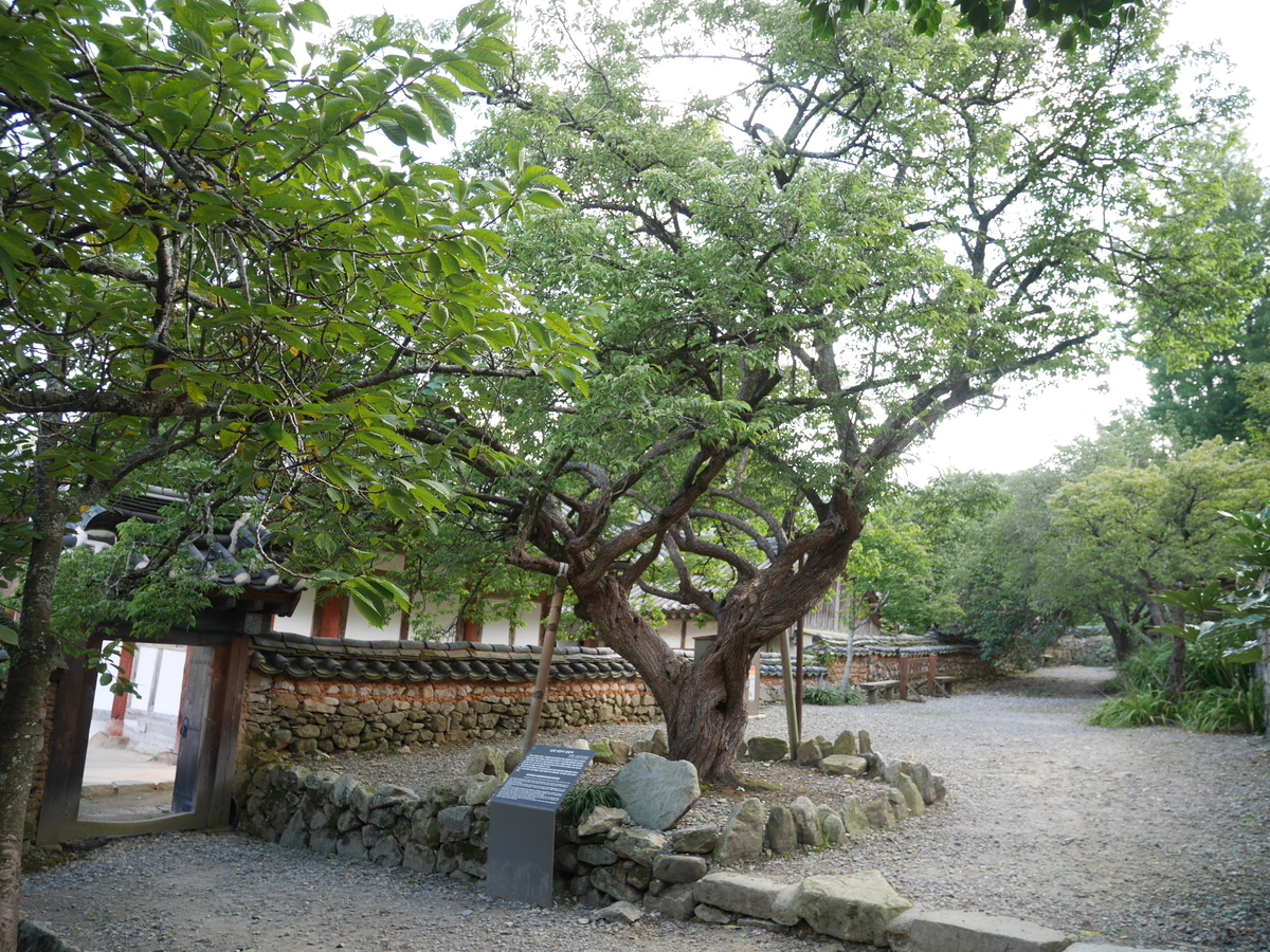 f:id:gashin_shoutan:20190930230232j:plain f:id:gashin_shoutan:20190930230232j:plain