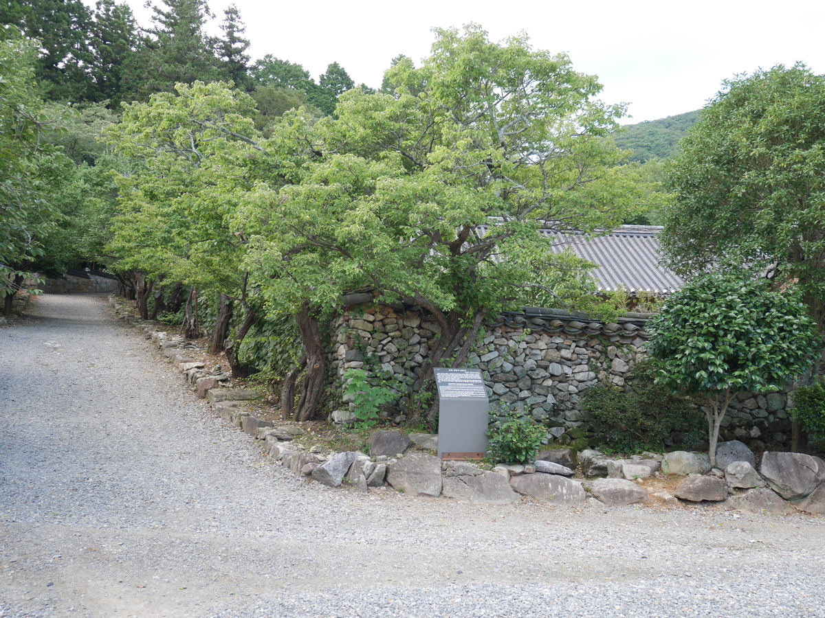 f:id:gashin_shoutan:20190930230248j:plain f:id:gashin_shoutan:20190930230248j:plain