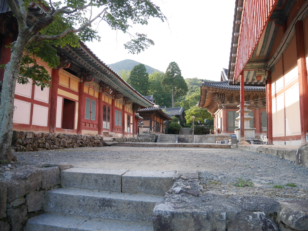 f:id:gashin_shoutan:20190930230918j:plain f:id:gashin_shoutan:20190930230918j:plain