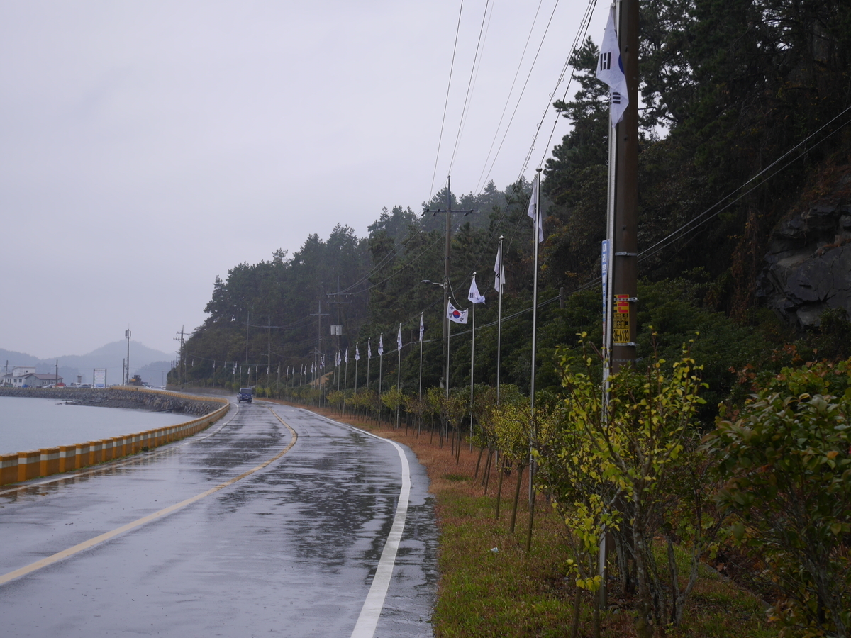 f:id:gashin_shoutan:20211113224806j:plain