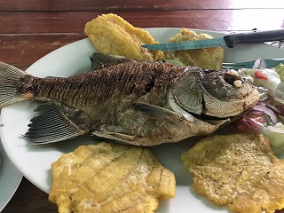 f:id:gashiraboy:20190424090923j:plain