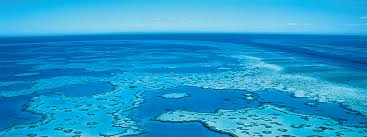 f:id:gashiraboy:20190619092041p:plain