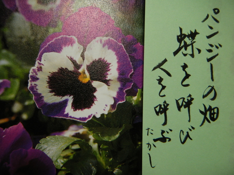 3月７月誕生日の花と花言葉 剣持雅舟のブログ