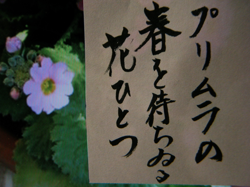 イメージ 4