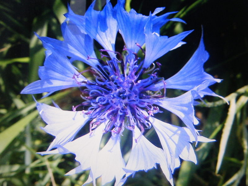 https://blogs.yahoo.co.jp/kenmochibunko/GALLERY/show_image.html?id=3103845&no=0 へ イメージ 1