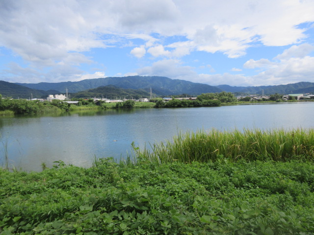 イメージ 4