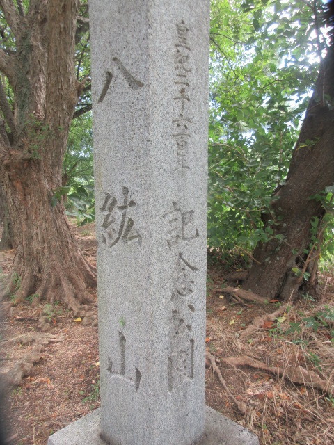 イメージ 2