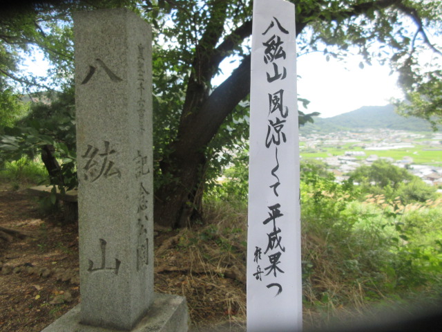 イメージ 7
