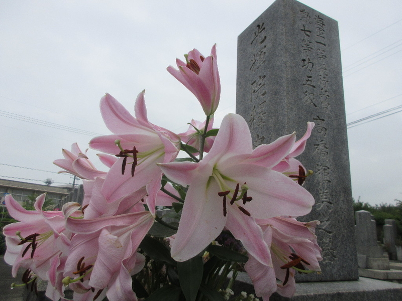 イメージ 3