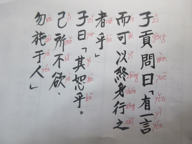 イメージ 6