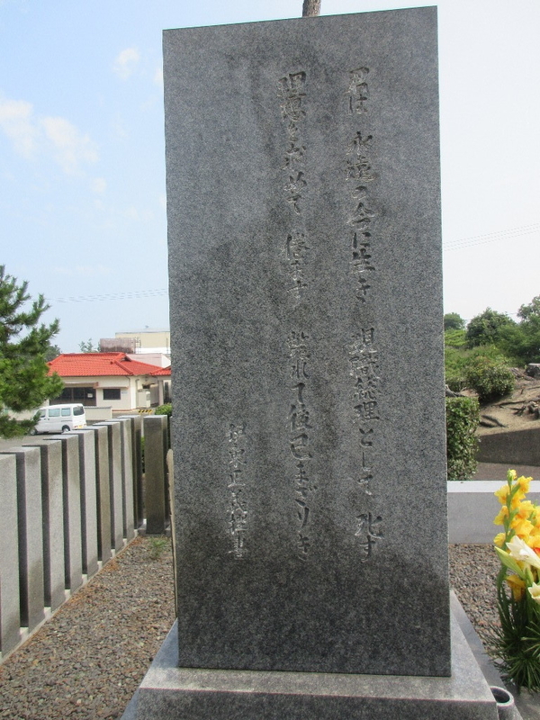 イメージ 3