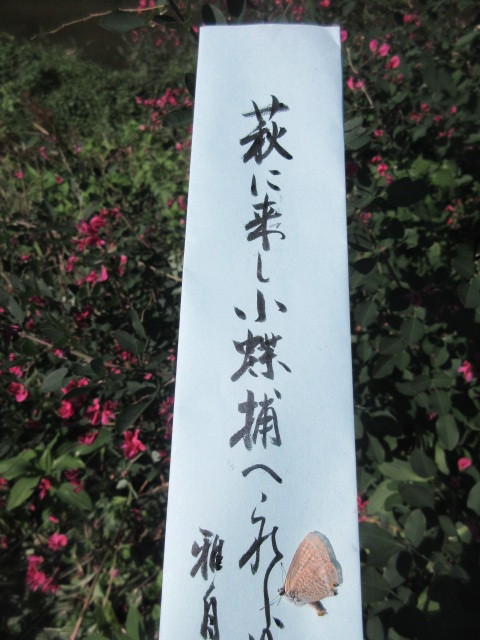 イメージ 3