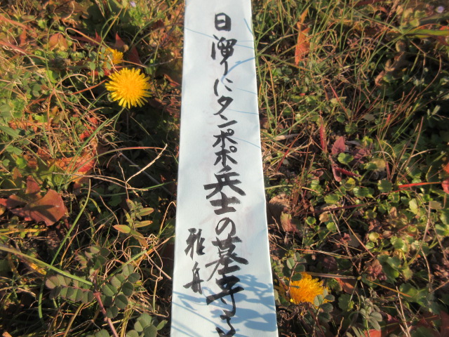 イメージ 1