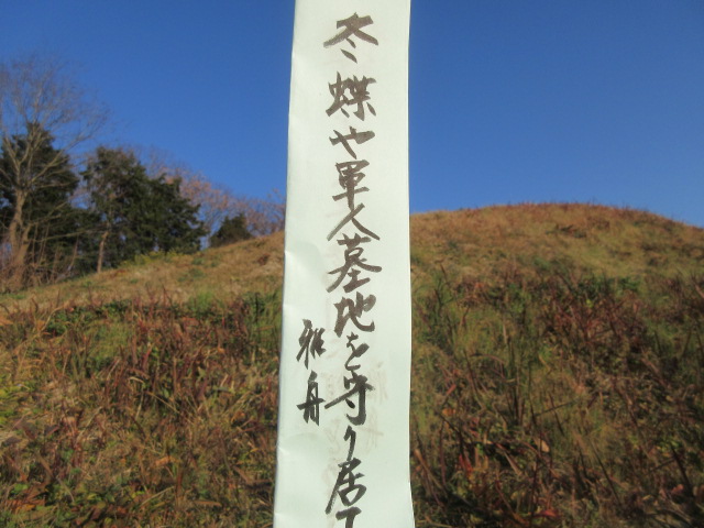 イメージ 5