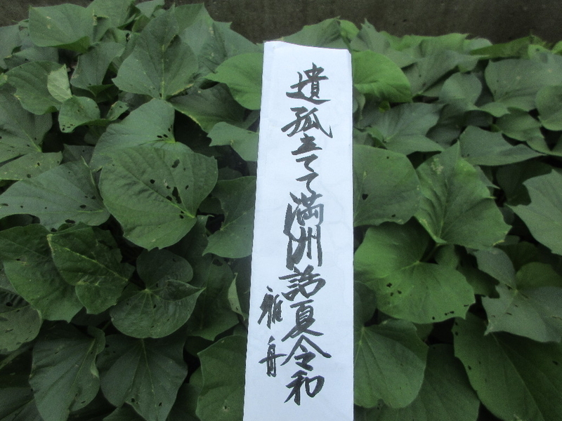 イメージ 2