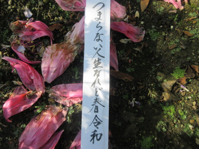 イメージ 5