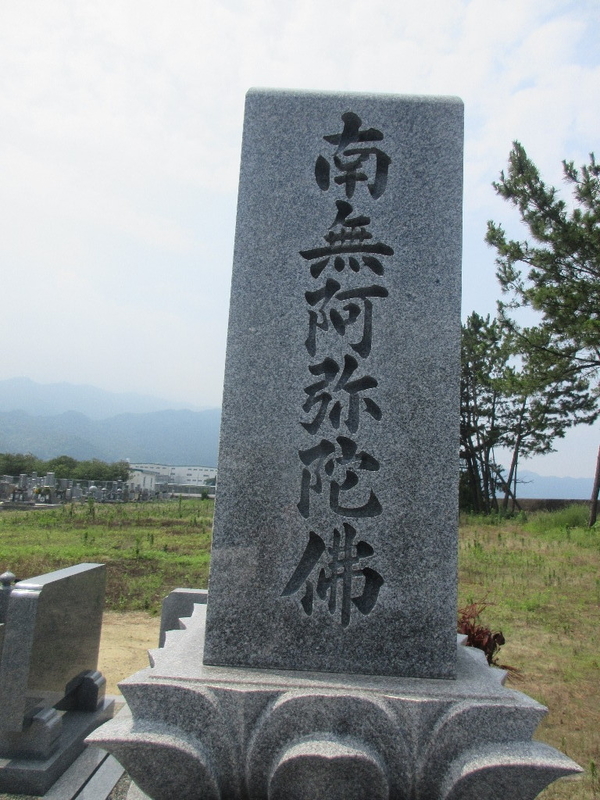 イメージ 3