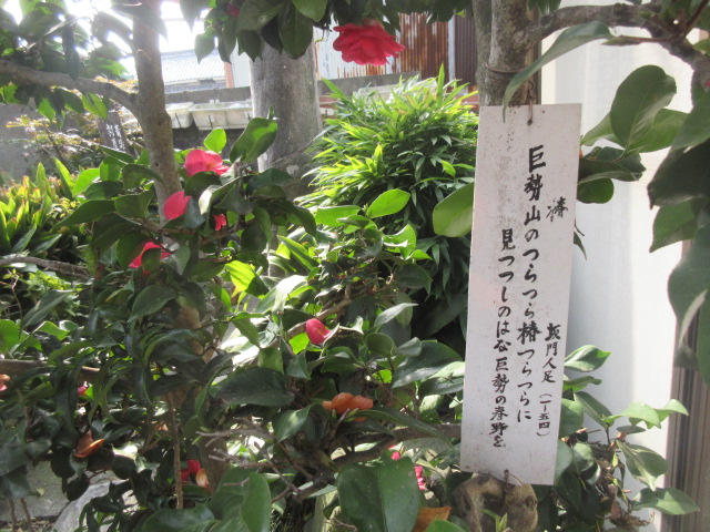 イメージ 3