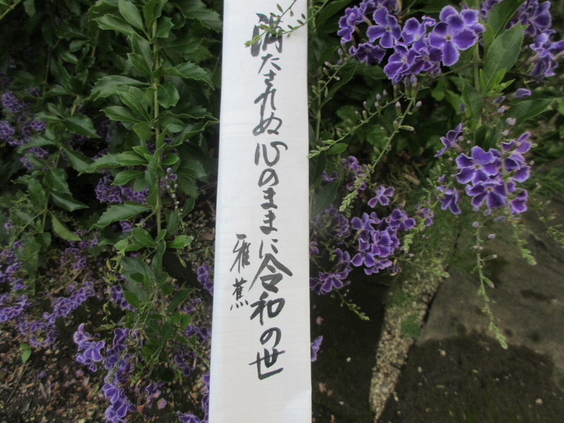 イメージ 1