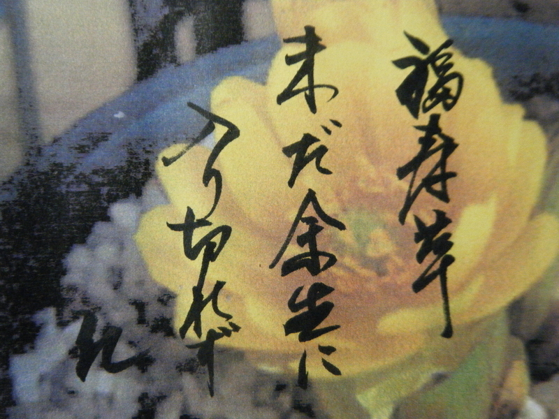 イメージ 3