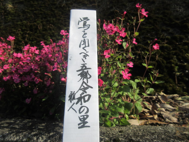 イメージ 3