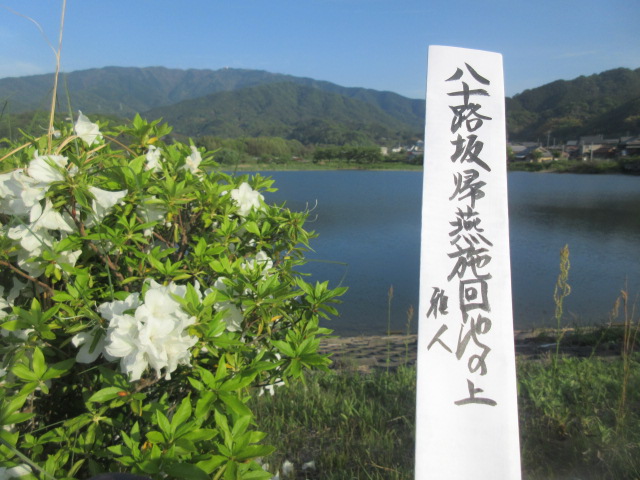 イメージ 6