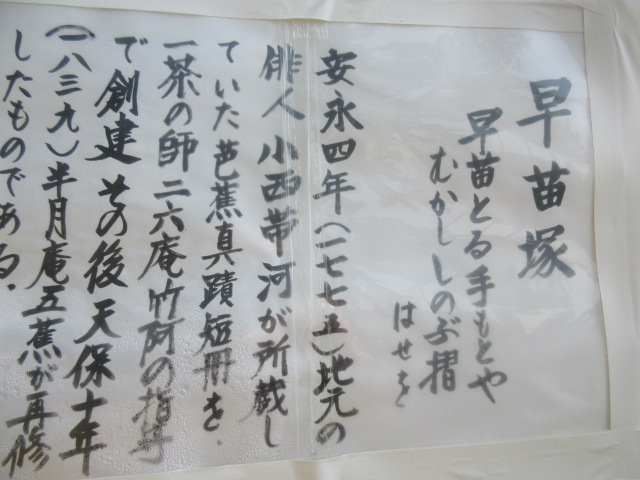 イメージ 5