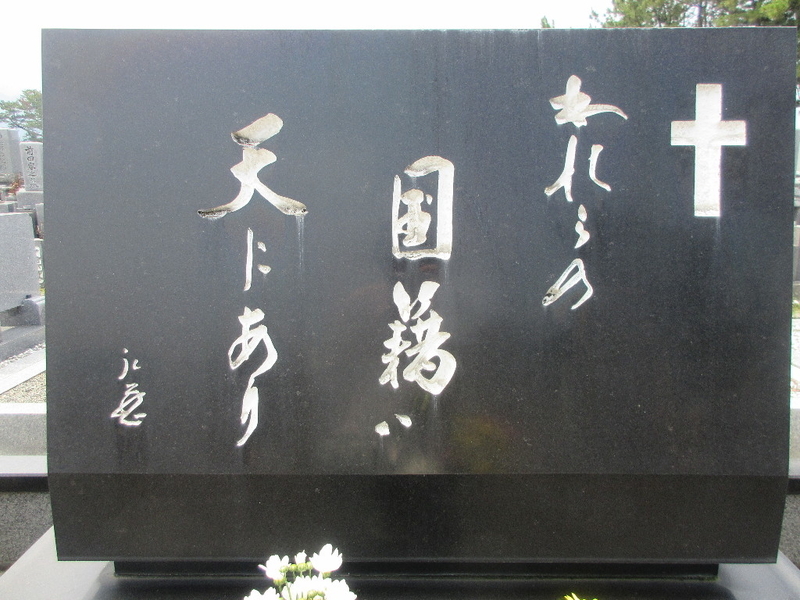 イメージ 5