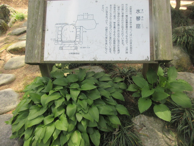 イメージ 4