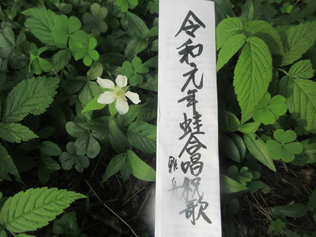 イメージ 4