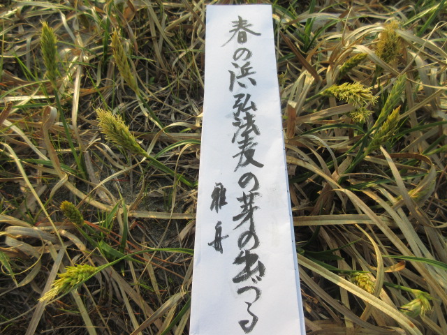 イメージ 6