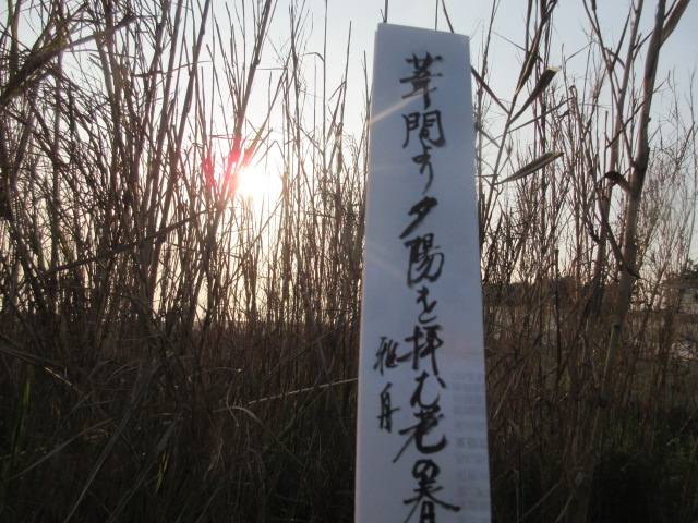 イメージ 7