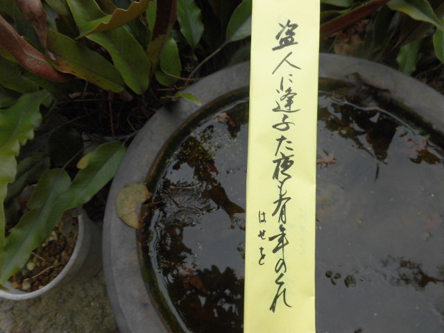 イメージ 5