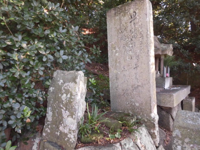 イメージ 3