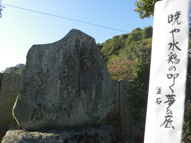 イメージ 6