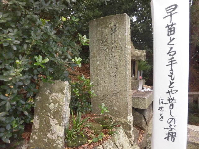 イメージ 3